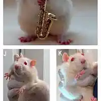 Picture for song 'De Koele Meren Des Doods' by artist 'Jammer59'