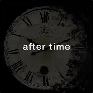 Picture for song 'After time (Boom Bap)' by artist 'Puls Ever'