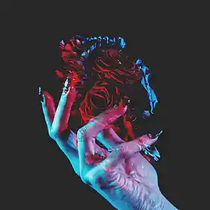 Song picture