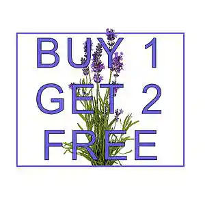 Picture for song 'Lavender (Clairo x Dominic Fike Type Beat)' by artist 'SoupBeats'