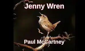 Picture for song 'Jenny Wren' by artist 'Tony DeLecce'