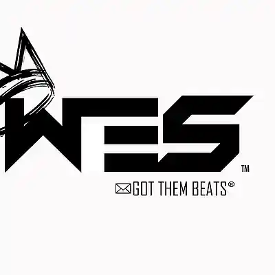 Picture for song 'Problematic' by artist 'wesleybeats'