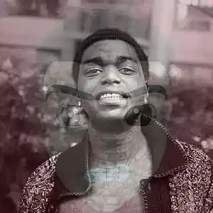 Picture for song 'BERRY Kodak Black TB' by artist 'ARDINAR'