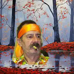 Picture for song 'BRILLO DEL AGUA ( ZAMBA ) DANIEL CANUETO' by artist 'DANIEL CANUETO'
