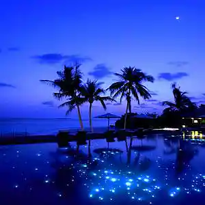 Picture for song 'The Dream (Instrumental)' by artist 'Denzlo'