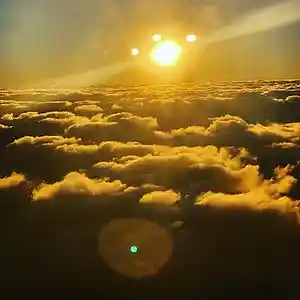 Picture for song 'dilly up' by artist 'Draegon Grey'