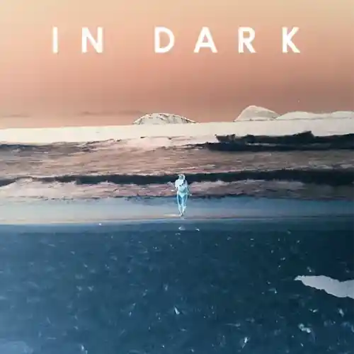 Picture for song 'Backwoods' by artist 'IN DARK'