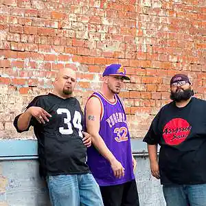 Picture for song 'LP "I Know What They Want"' by artist 'LP Assassins'