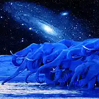 Picture for song 'PSYCHIC SAFARI' by artist 'Mark Wessels'