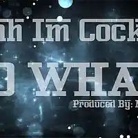 Picture for song '*NEW* Yeah Im Cocky..... So What ' by artist 'Mr.Ric'