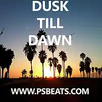 Picture for song 'Dusk Till Dawn (FREE DL)' by artist 'PLATINUM SELLERS BEATS'