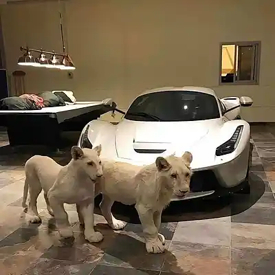 Picture for song 'Detroit Type Beat - RESPECT THE GAME' by artist 'Ryo'