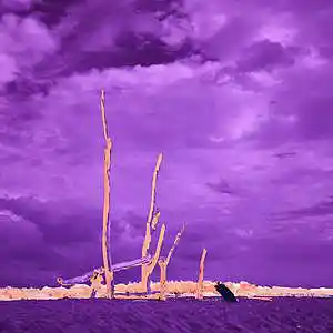 Picture for song '"STRANGE" Beat for Sale' by artist 'whoDeanyBeatz'