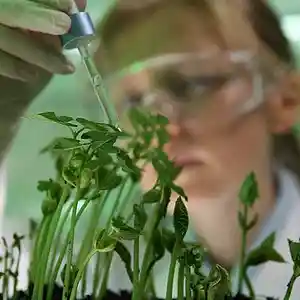 Picture for song 'Experiment' by artist 'allbestok'