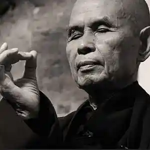 Picture for song 'Thich Nhat Hanh: Art of Mindful Living5: Vipassana' by artist 'Copleston Mindfulness I'