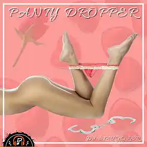 Picture for song 'Panty Dropper' by artist 'DJ Smuggler'