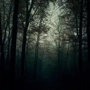 Picture for song 'godZIlla' by artist 'Fakeyou'