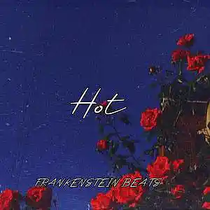 Picture for song 'Hot (Free Download)' by artist 'Frankenstein Beats'