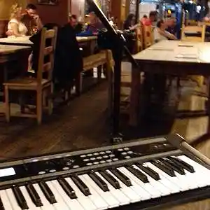 Picture for song 'Organ Doner' by artist 'glass cage'