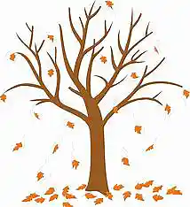 Picture for song 'Fallen Trees' by artist 'Johanna Renfro'