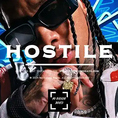 Picture for song 'Tyga "Hostile" BUY 2 GET 1 FREE' by artist 'No Excuse Beats'