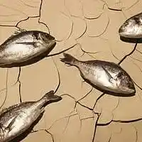 Picture for song 'Fish Out Of Water' by artist 'Praise His Ways'