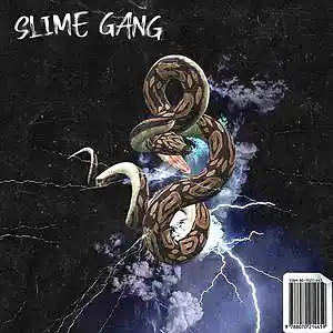 Picture for song '*NEW* Slime Gang (Buy 1 Get 3 Free)' by artist 'The Wave Beats'
