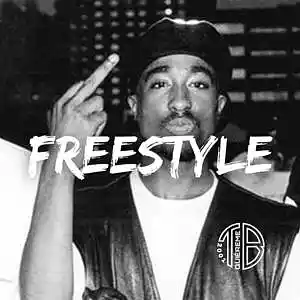 Picture for song 'FREESTYLE' by artist 'Toma Beatz'
