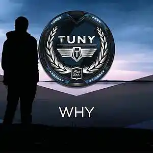 Picture for song 'Why' by artist 'Tuny Beats'