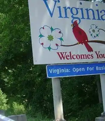 Picture for song 'trapped' by artist 'ygbarz'