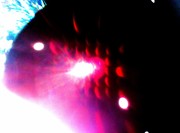 Picture for song 'Win Your Love' by artist 'Joshua Grammon'