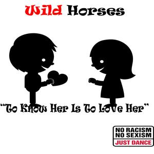 Picture for song 'Baby, We Need This Money' by artist 'Wild Horses'