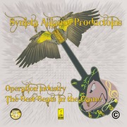 Picture for song 'Keeping real' by artist 'Synista Alliance Productions'