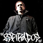 Picture for song 'vecu d flemard' by artist '2spi'
