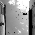 Picture for song 'The Jump Off' by artist '3RD DIMENSIONAL BEATS'