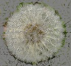 Picture for song 'Piano Solo#13 Intermezzo' by artist '7StringJazz'