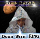 Picture for song 'TURN YOU OUT' by artist 'Ace Dawg Productions'