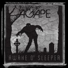 Picture for song 'Awake O Sleeper' by artist 'AGAPE (US)'