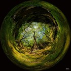 Picture for song '*Cold*.:Midwest Born:. (Free D/L)' by artist 'AJ Archibald'