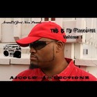 Picture for song 'Lean On Me (Snap Music)' by artist 'AJCole-lectionz'