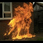 Picture for song 'Molotov' by artist 'Uncle Ace Ha'