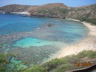Picture for song 'Save Our Ocean' by artist 'Allan Byer Band'
