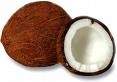 Picture for song 'Coconuts' by artist 'Alt-Melodium'