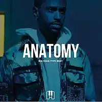Picture for song 'Anatomy' by artist 'AndreOnBeat'