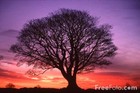 Picture for song 'As The World Begins Again' by artist 'Andrew Wonders'