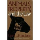 Picture for song 'anima naturalis' by artist 'animinimalista'