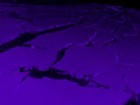 Picture for song 'Rupture' by artist 'Antonio de Braga'