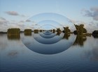 Picture for song 'exercise of life' by artist 'Archief Bizar'
