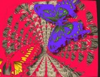 Picture for song 'illegal alien' by artist 'Archief Bizar'