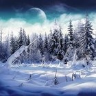 Picture for song 'New Year's day' by artist 'Armando Ferrer'